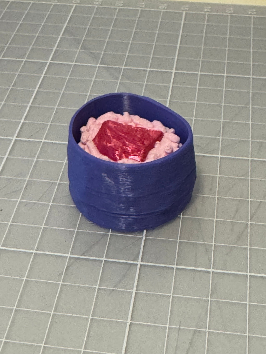 Tuna Sushi Fidget